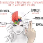 Thérapie EMDR Bruxelles