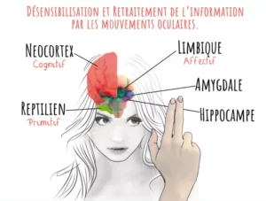 Thérapie EMDR Bruxelles