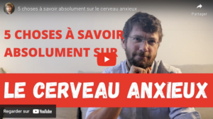 amygdale cérébrale