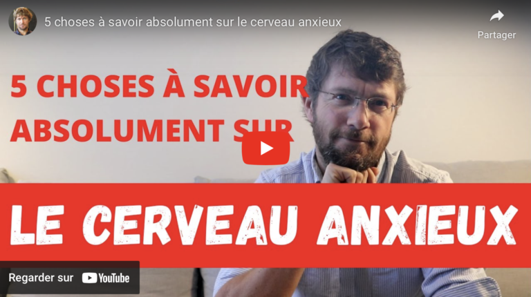 amygdale cérébrale